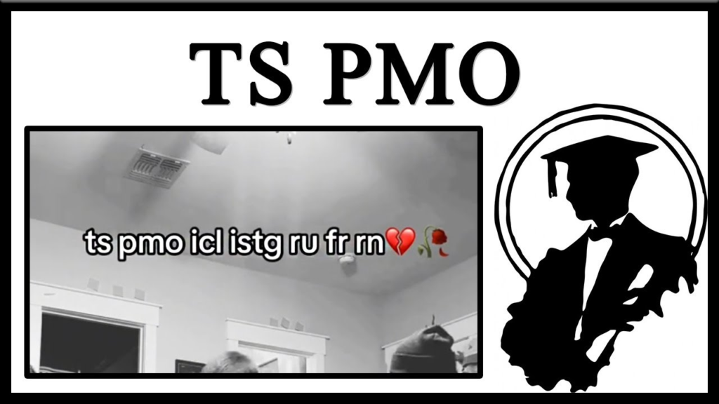 ts pmo meaning