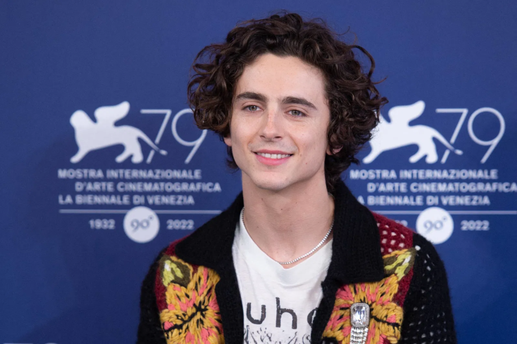 timothee chalamet net worth
