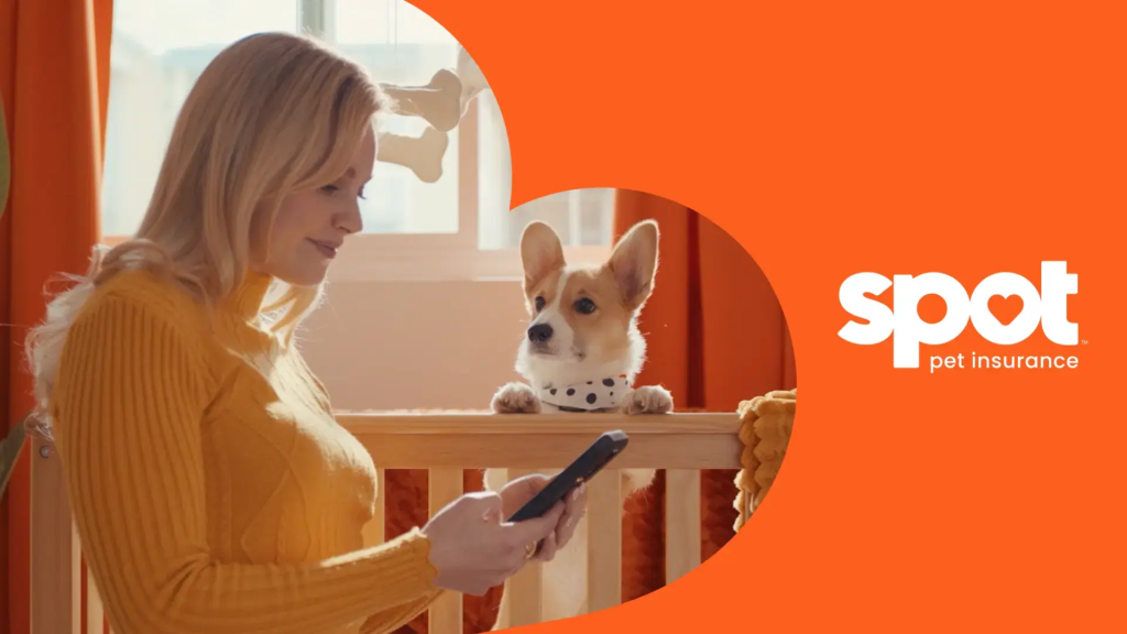 Spot Pet Insurance