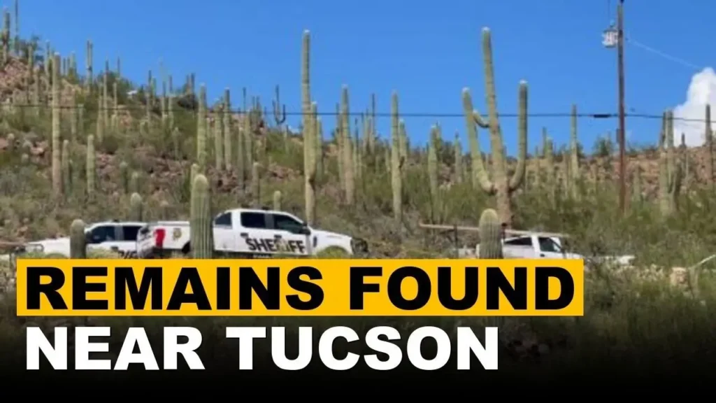 tucson desert human remains findings