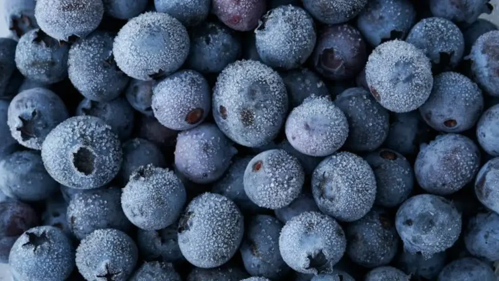 blueberry recall